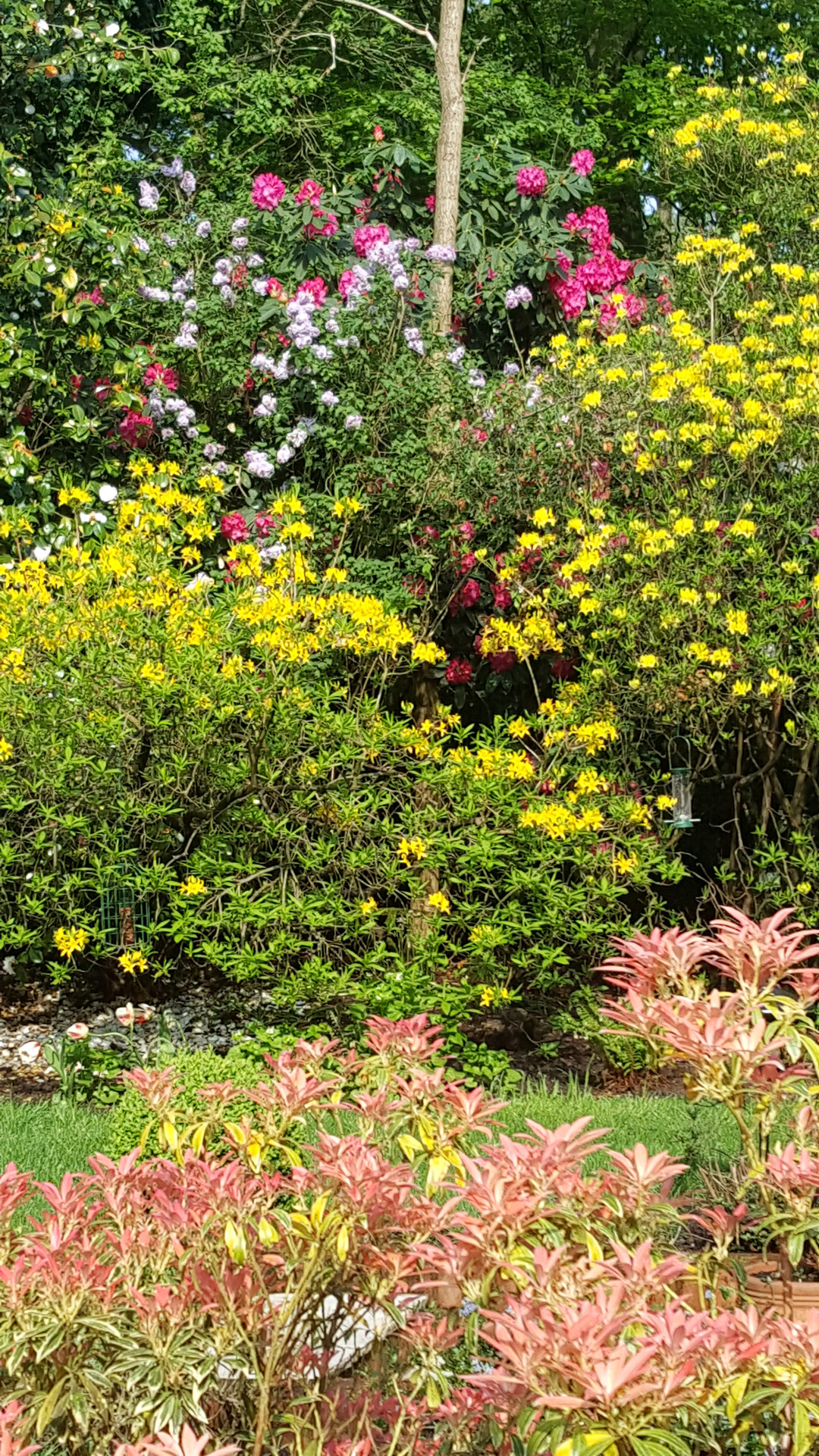 Garden and terrace flowing from the house