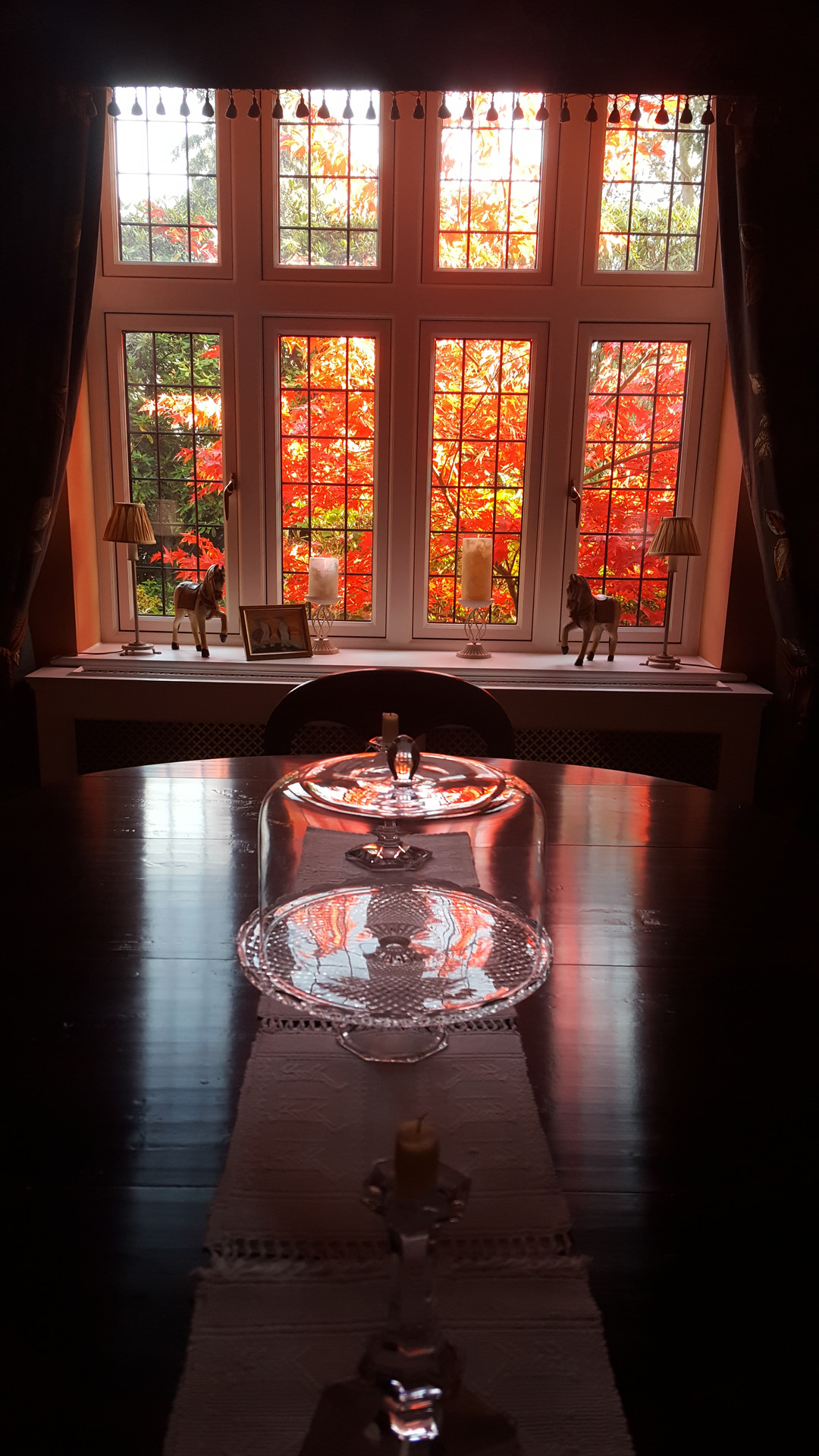 Planting echoing the interior palette