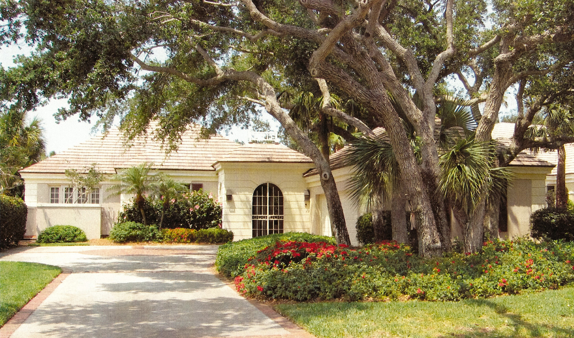 Dove Shell Lane — the house exterior