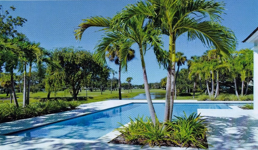 Sabal Palm Lane — the reflecting pool